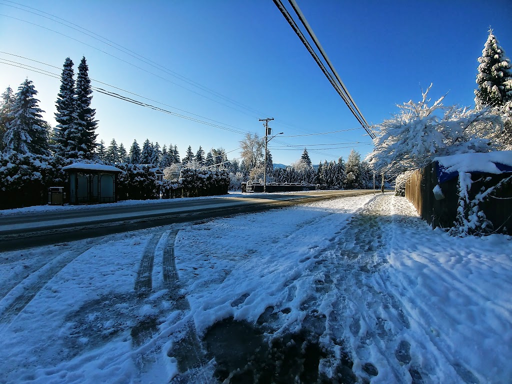 Gas-n-Go | 4690 Cumberland Rd, Cumberland, BC V0R 1S0, Canada | Phone: (250) 336-8711