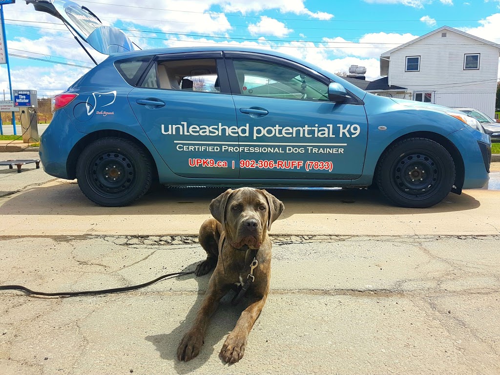 Unleashed Potential The Valley | 160 Dawson Rd, Ellershouse, NS B0N 1L0, Canada | Phone: (902) 306-7833