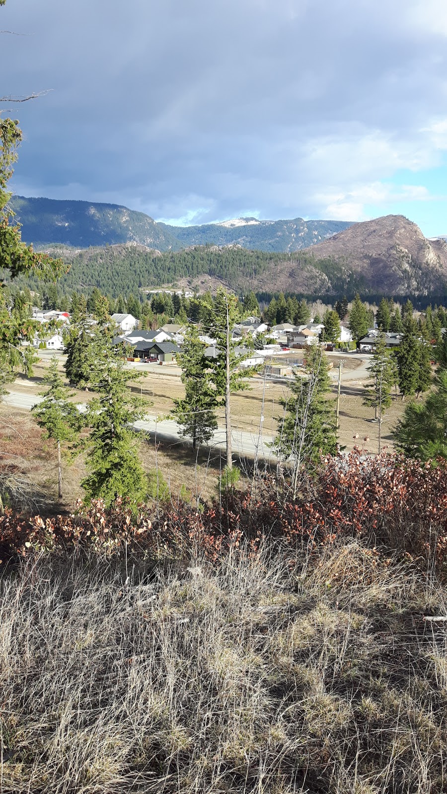 Tirecraft Barriere | 5159 Barriere Town Rd, Barrière, BC V0E 1E0, Canada | Phone: (250) 672-5270