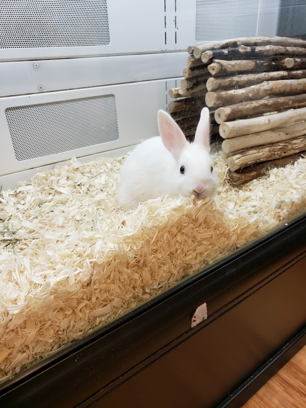 Paulmacs Pets | 1550 Lansdowne St W, Peterborough, ON K9J 1Z5, Canada | Phone: (705) 742-1311