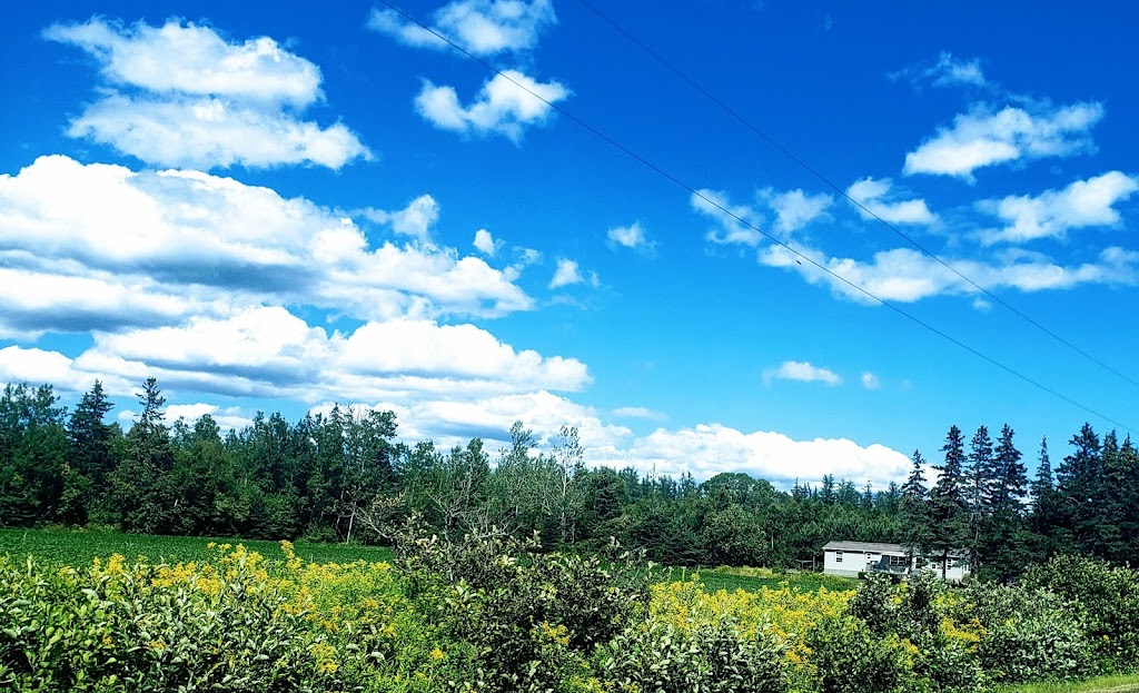 Hidden Fence PE | 50 Stewart Point Rd, Belle River, PE C0A 1B0, Canada | Phone: (902) 626-3560