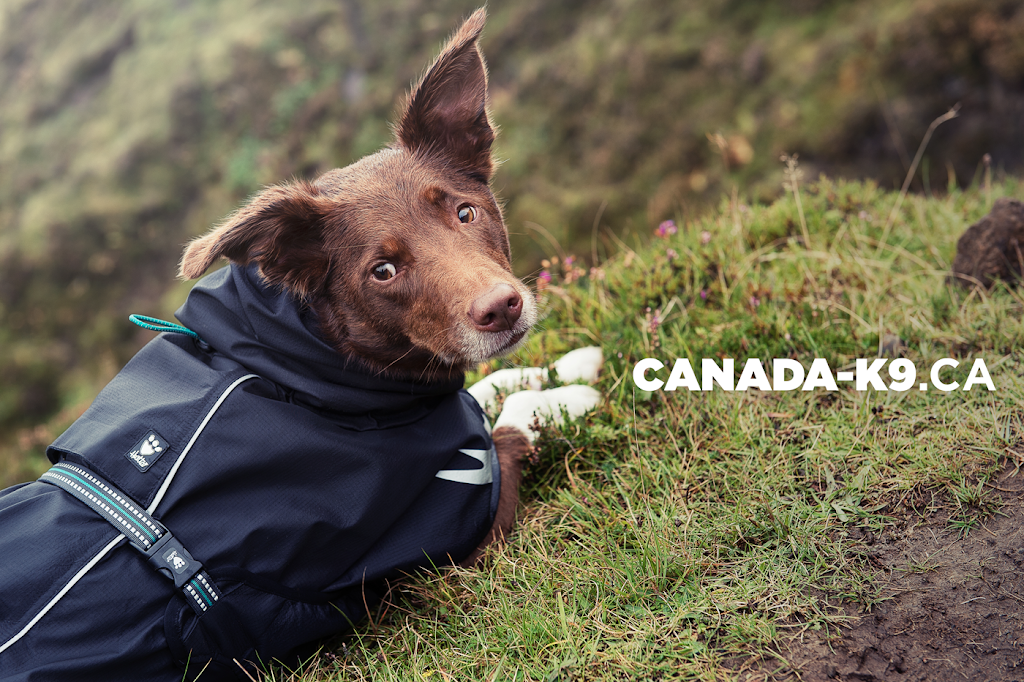 Canada-k9.ca | 111 Avenue Champêtre, Montréal-Est, QC H1B 5G7, Canada | Phone: (888) 800-1771