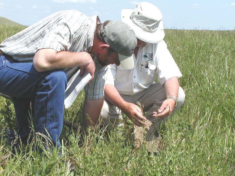 Foothills Forage & Grazing Association | 64164 393 E, Okotoks Dr, Okotoks, AB T1S 0L1, Canada | Phone: (403) 995-9466