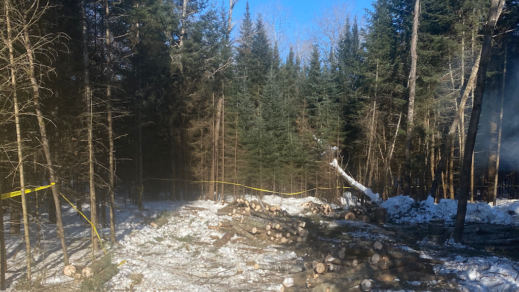 Élagage Frère dArbres | 2 Rue Hendy, Sainte-Agathe-des-Monts, QC J8C 2Z7, Canada | Phone: (819) 324-8045