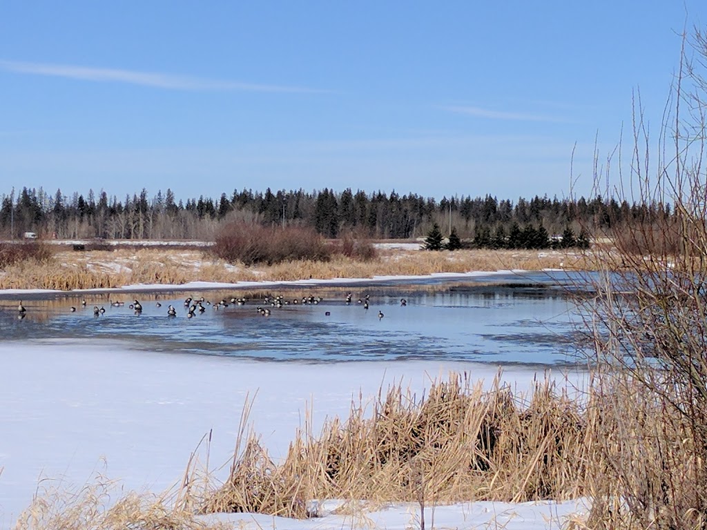 Lois Hole Centennial Provincial Park - 250 Diamond Ave, Spruce Grove ...