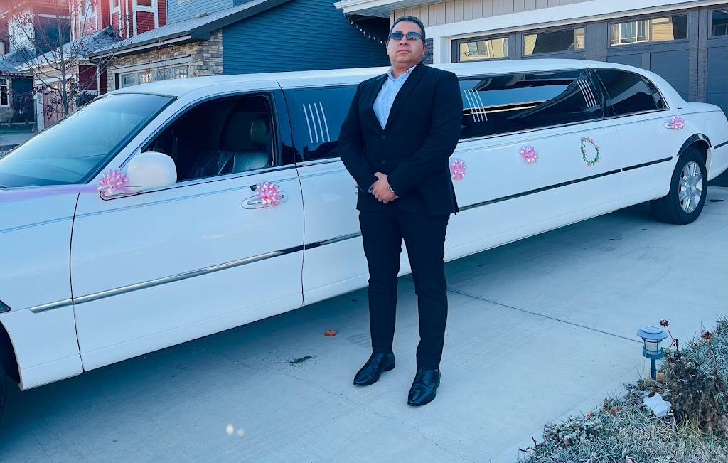 White Limousine | 35 Boulder Blvd, Stony Plain, AB T7Z 1V6, Canada | Phone: (780) 993-0307