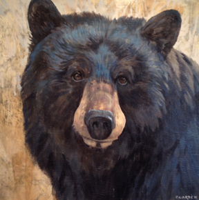 Red Canoe Gallery | 111 Medora St, Port Carling, ON P0B 1J0, Canada | Phone: (705) 765-7474