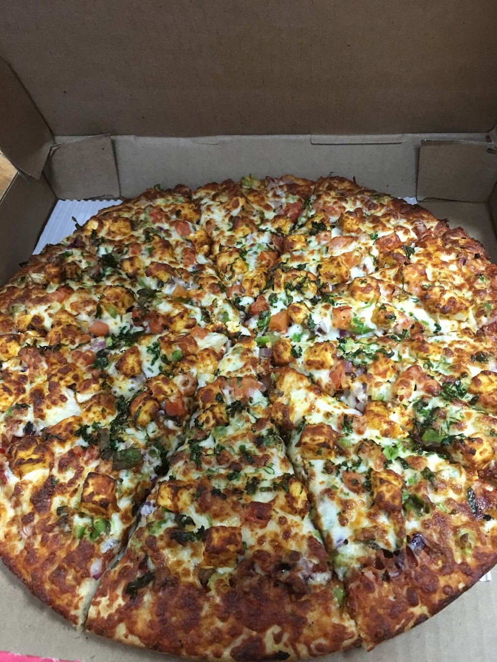 Newton Pizza | 6822 128 St, Surrey, BC V3W 4C9, Canada | Phone: (604) 543-5555