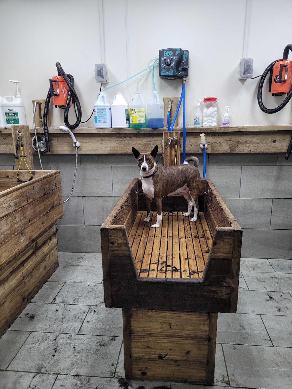 Paws Oasis | 17716 Trans-Canada Hwy, Perth, ON K7H 3C6, Canada | Phone: (613) 267-8051