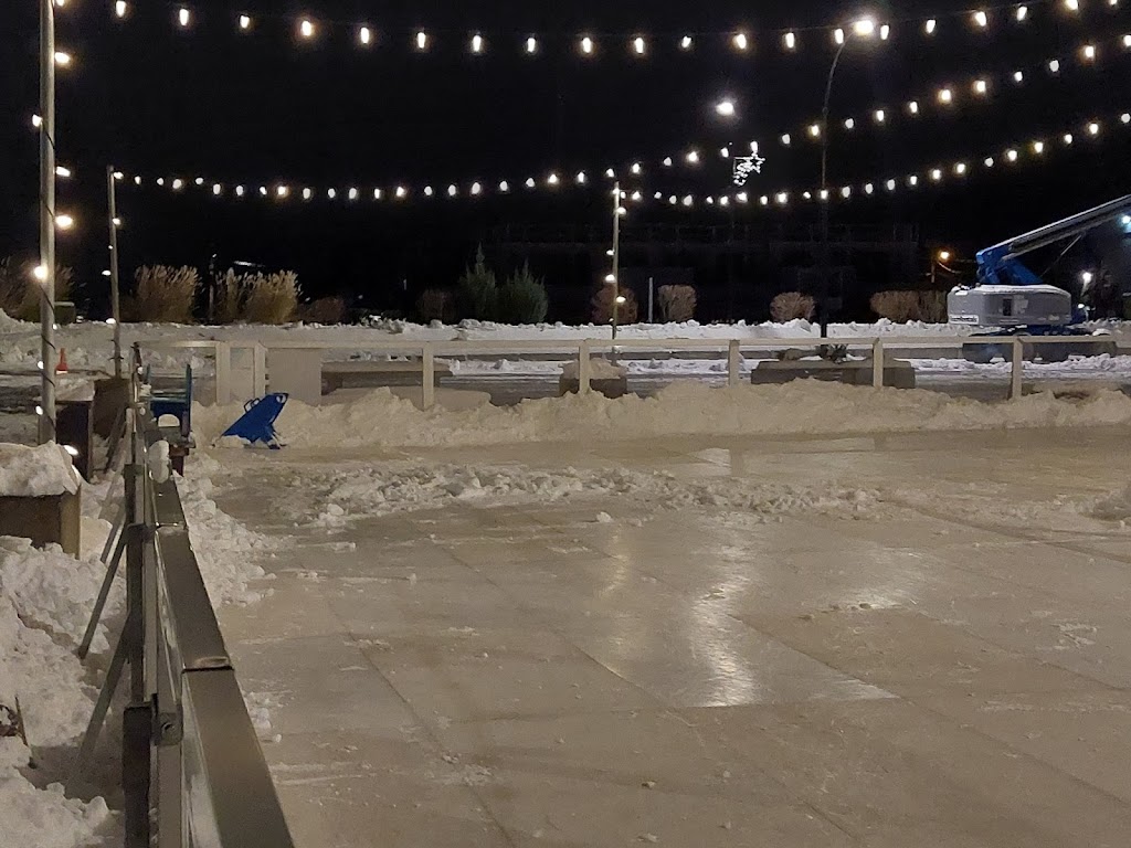 Harrison Hot Springs Synthetic Skating Rink | 500 Esplanade Ave, Harrison Hot Springs, BC V0M 1K0, Canada | Phone: (604) 796-2171