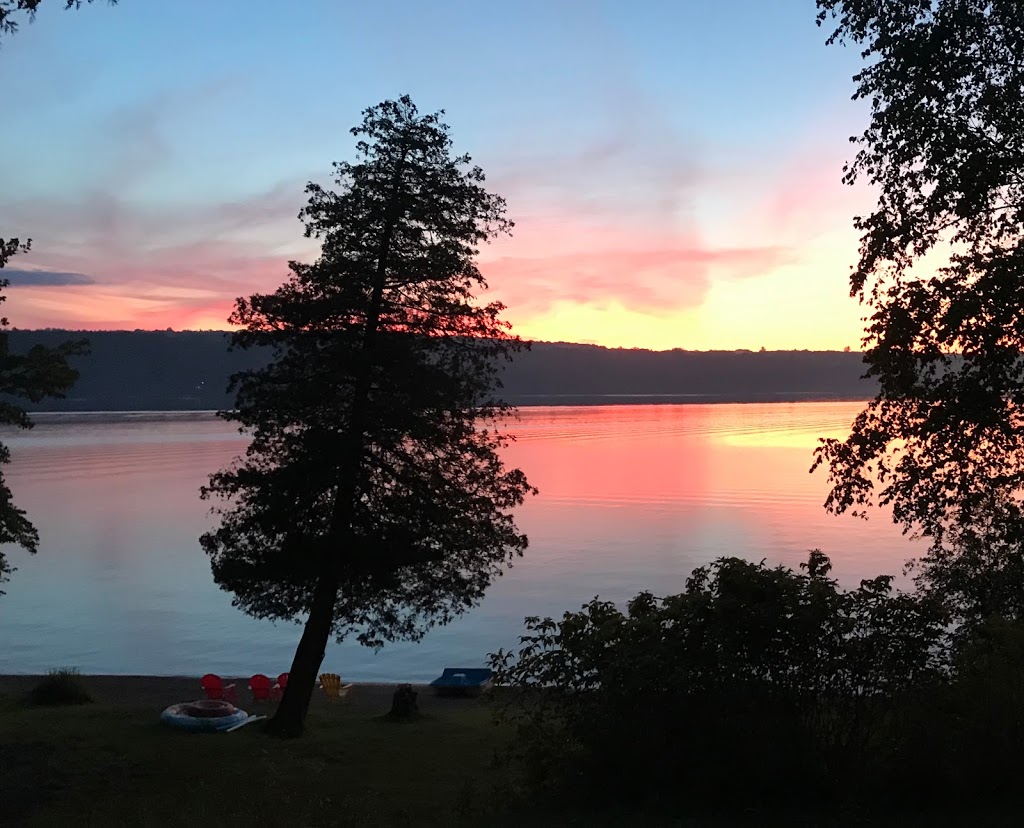 The Homestead Cottage’s | 16527 ON-35, Algonquin Highlands, ON K0M 1J1, Canada | Phone: (705) 489-2550