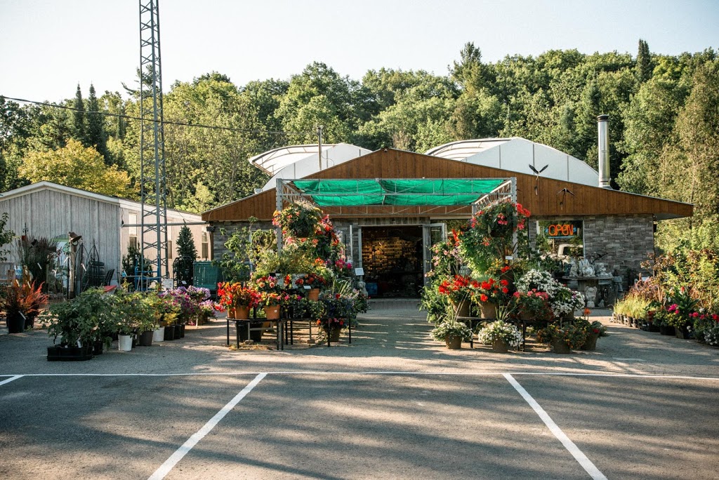 Baltimore Valley Nursery/Garden Centre | 5599 45, Baltimore, ON K0K 1C0, Canada | Phone: (905) 372-2662
