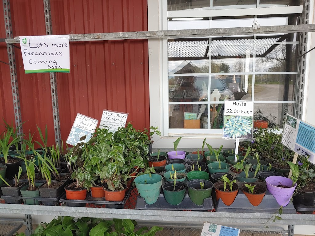 Shearlea Acres Farm Market | 3826 Hamilton 99, Hamilton, ON L0R 1T0, Canada | Phone: (519) 647-2415