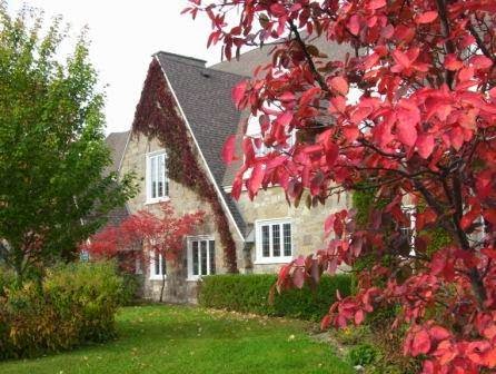 Middle School Beaubois | 4901 Rue du Collège - Beaubois, Pierrefonds, QC H8Y 3T4, Canada | Phone: (514) 684-7642