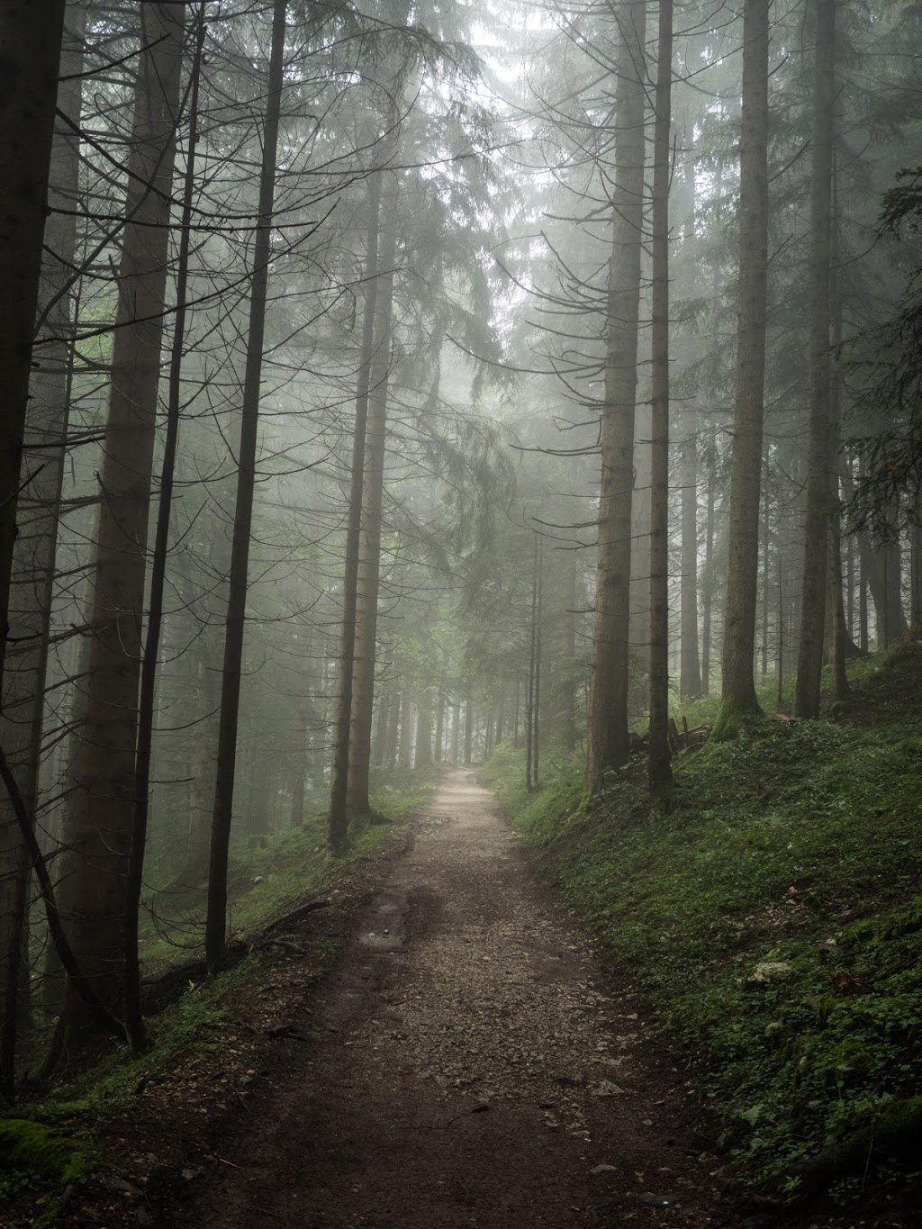 Pathway Legal - Divorce and Family Law | 2745 Veterans Memorial Pkwy #123, Victoria, BC V9B 0H4, Canada | Phone: (250) 220-8686