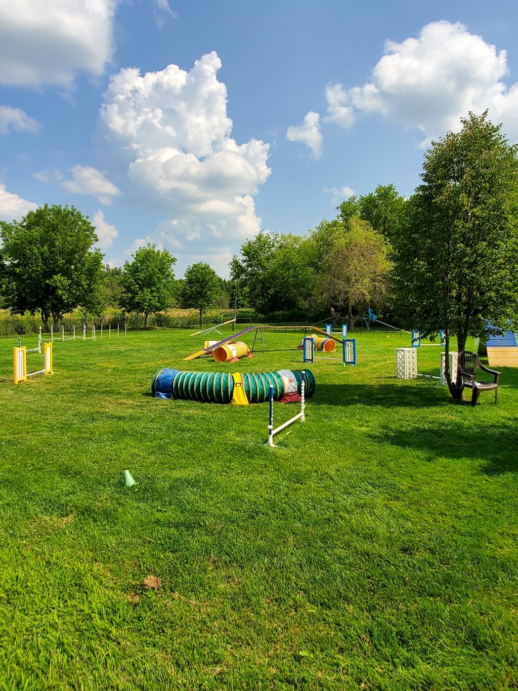Good as Gold K9 School | 20927 McCowan Rd, Mount Albert, ON L0G 1M0, Canada | Phone: (905) 473-3318