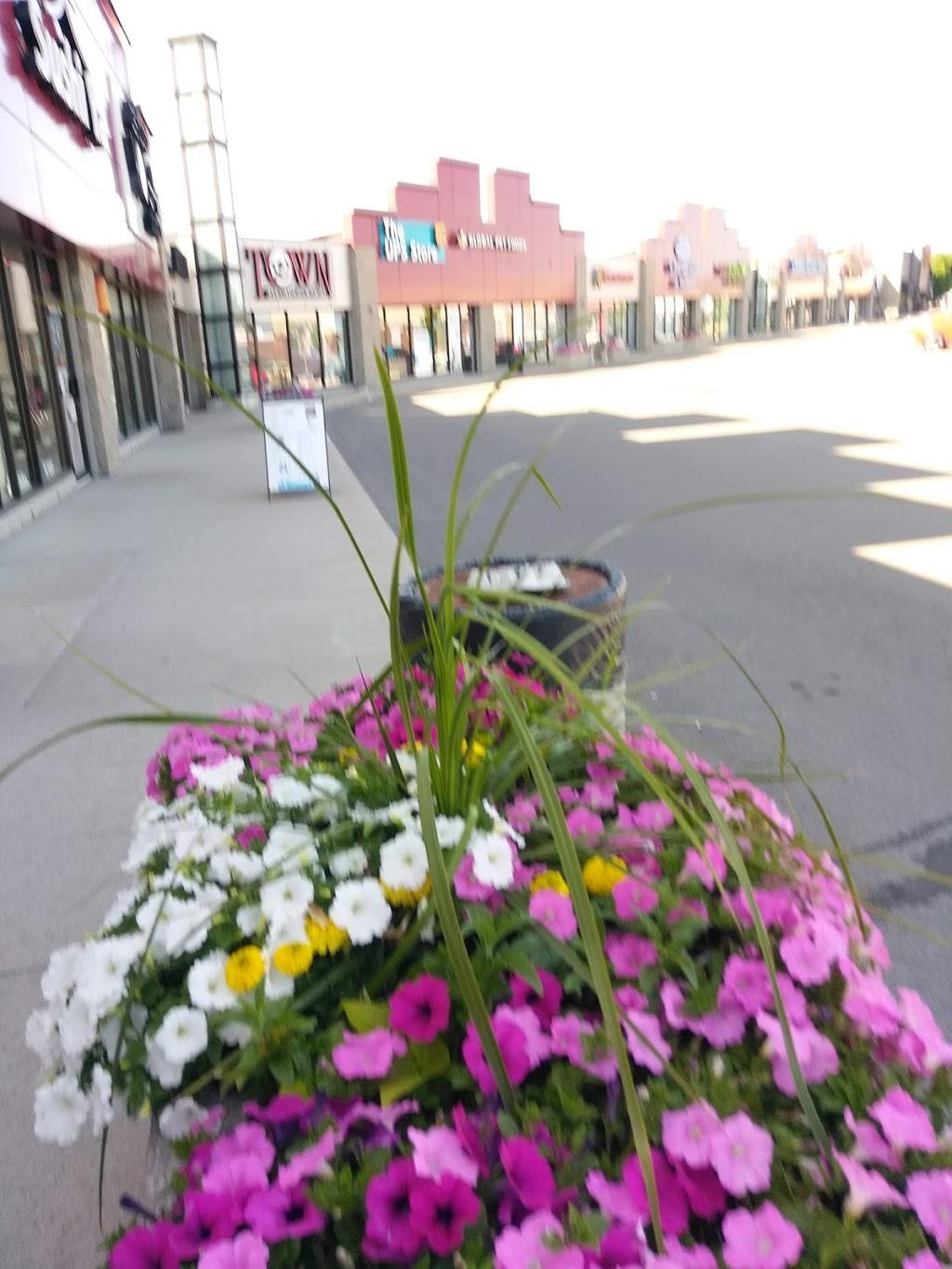 Waterdown Shopping Centre | 255 Dundas St E, Waterdown, ON L0R 2H6, Canada