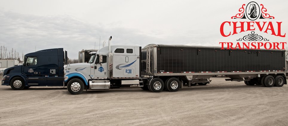 Cheval Transport Ltd | 235 Cochlan Dr, Morden, MB R6M 1G5, Canada | Phone: (204) 822-6798