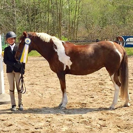 The Meadows Equine | 2495 Lloydtown Aurora Side Road, King City, ON L7B 1A3, Canada | Phone: (905) 841-9879