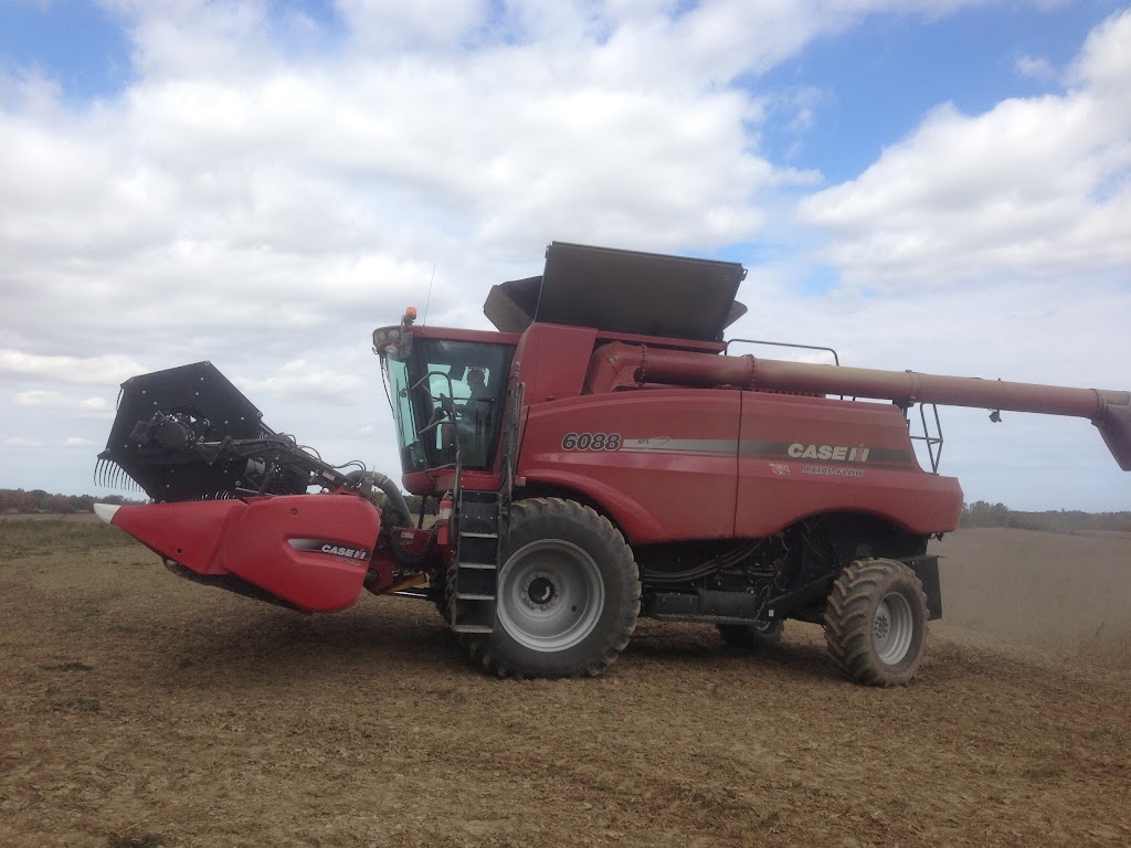 Turnbull Farms | 440 Turnbull Rd, Canfield, ON N0A 1C0, Canada | Phone: (289) 339-7303