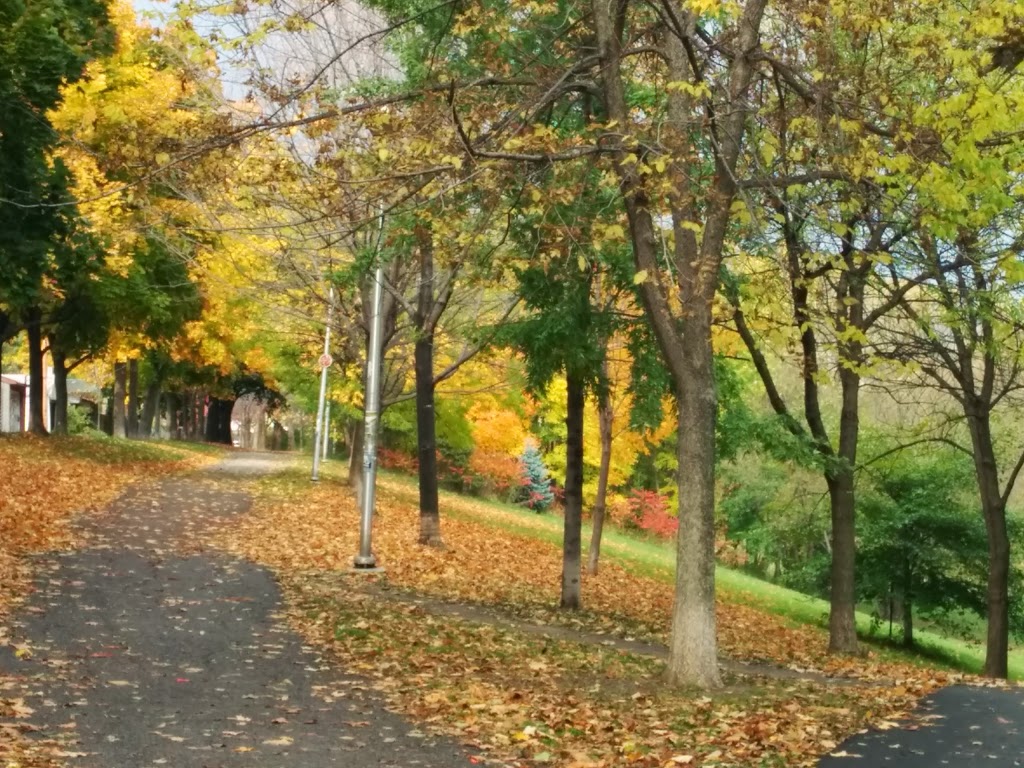 Art Eggleton Park | 323 Harbord St, Toronto, ON M6G 1G9, Canada | Phone: (416) 338-4386
