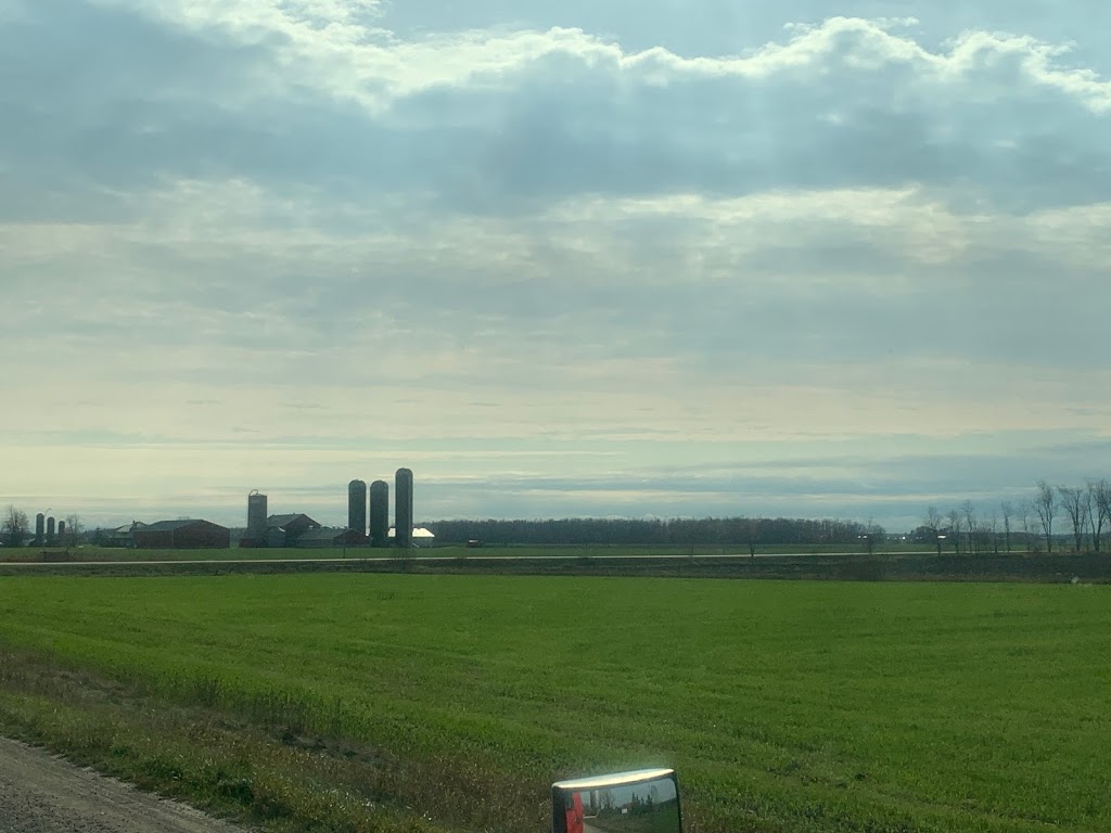 Outback Tree Farm | 5290 Perth County Line 86, Listowel, ON N4W 3G8, Canada | Phone: (519) 291-4754