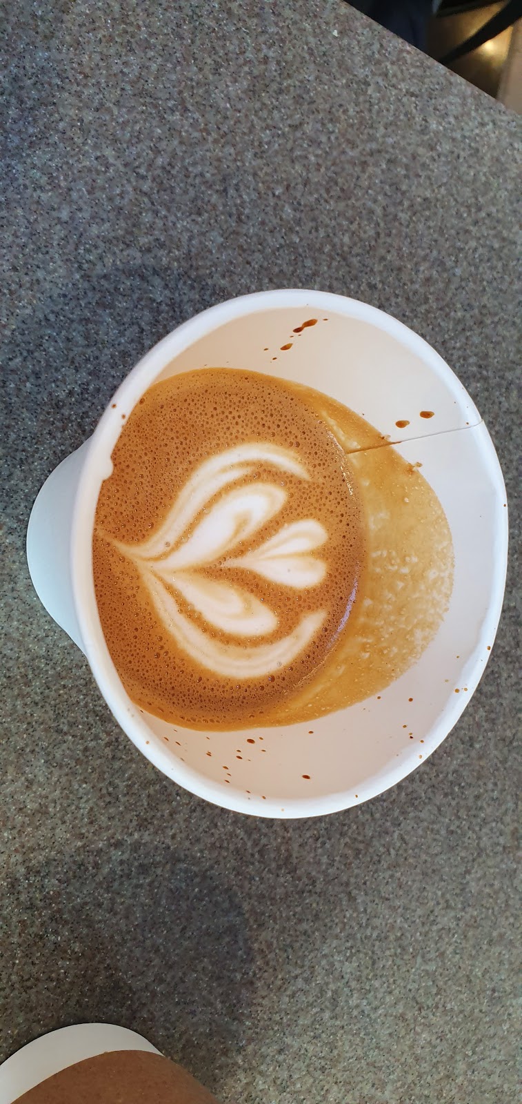 Jacked Up Coffee | 136 Yorkville Ave, Toronto, ON M5R 1C2, Canada