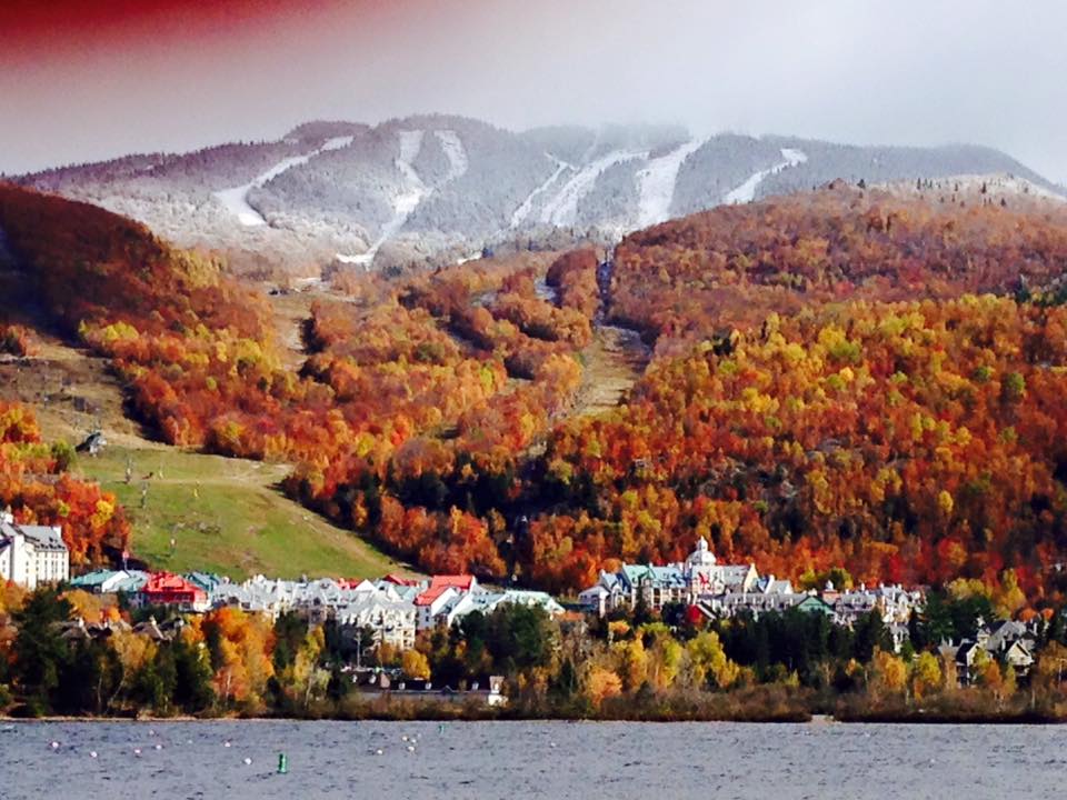 Tremblant Home - Real Estate | 1000 Chemin des Voyageurs, Mont-Tremblant, QC J8E 1T1, Canada | Phone: (819) 429-7326