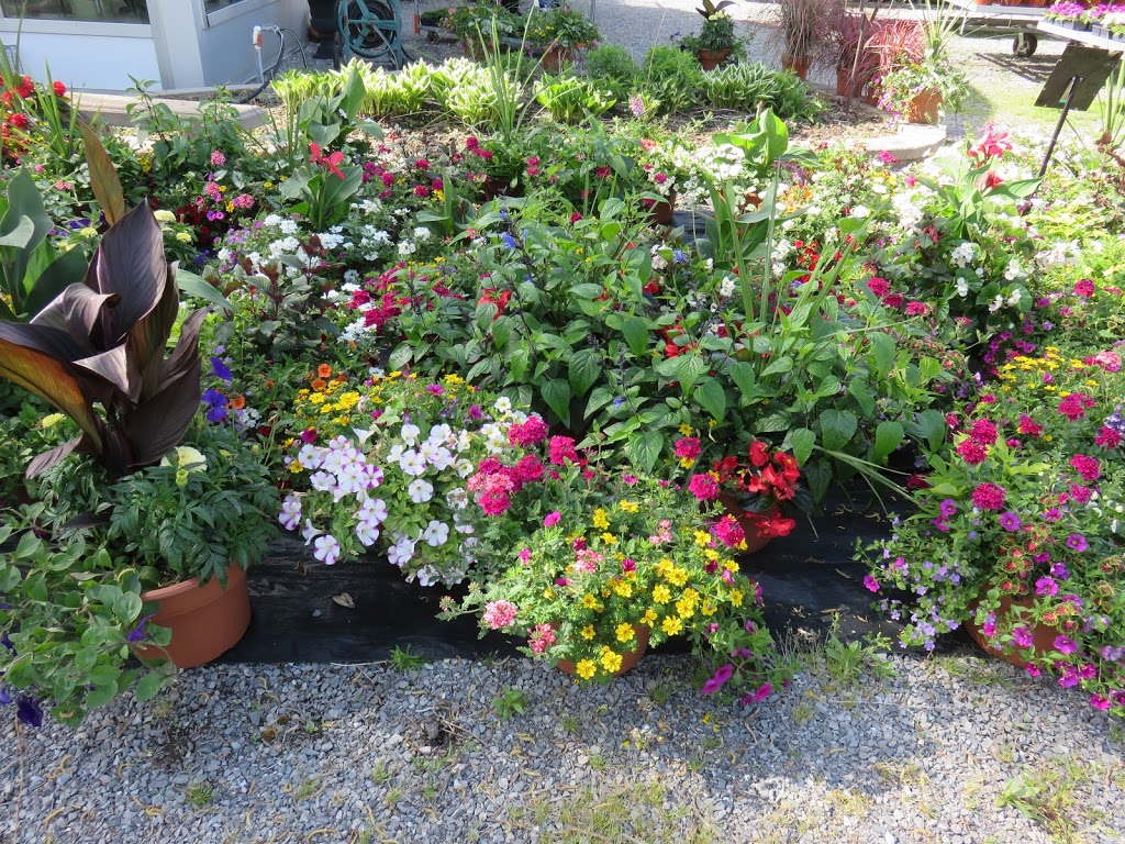 Ittens Flowers | 31829 Hwy#3, Wainfleet, ON L0S 1V0, Canada | Phone: (905) 899-1938