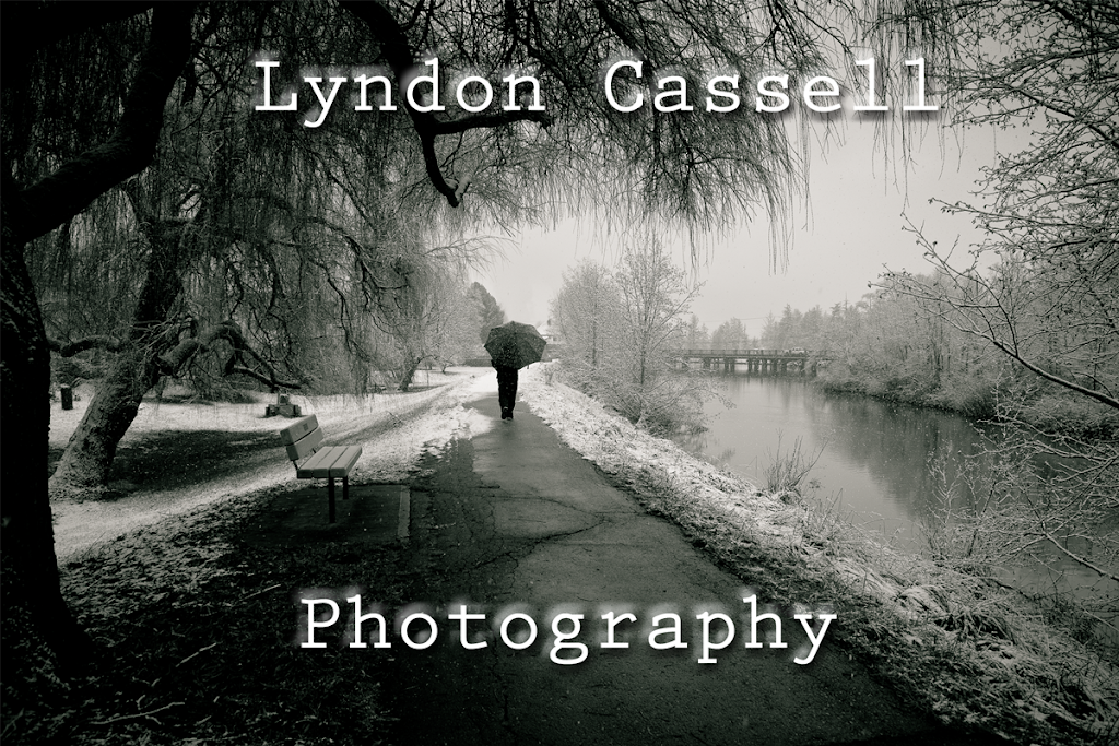 Lyndon Cassell Photography | 5558 Beaver Creek Rd #25, Port Alberni, BC V9Y 8G6, Canada | Phone: (778) 421-5508