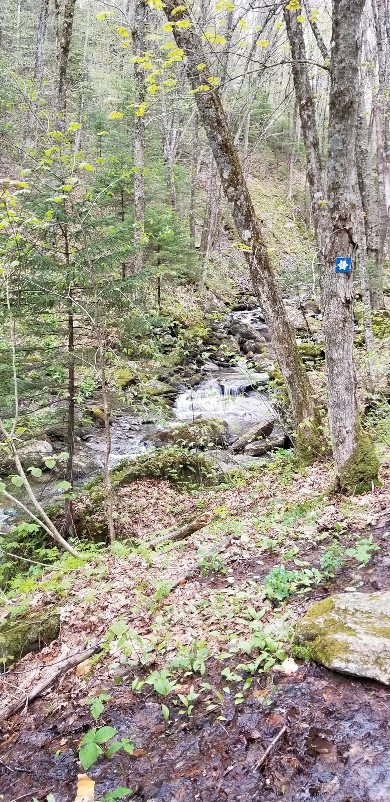 Départ Sentier Pédestre | 750-402 Chemin Schweizer, Sutton, QC J0E 2K0, Canada