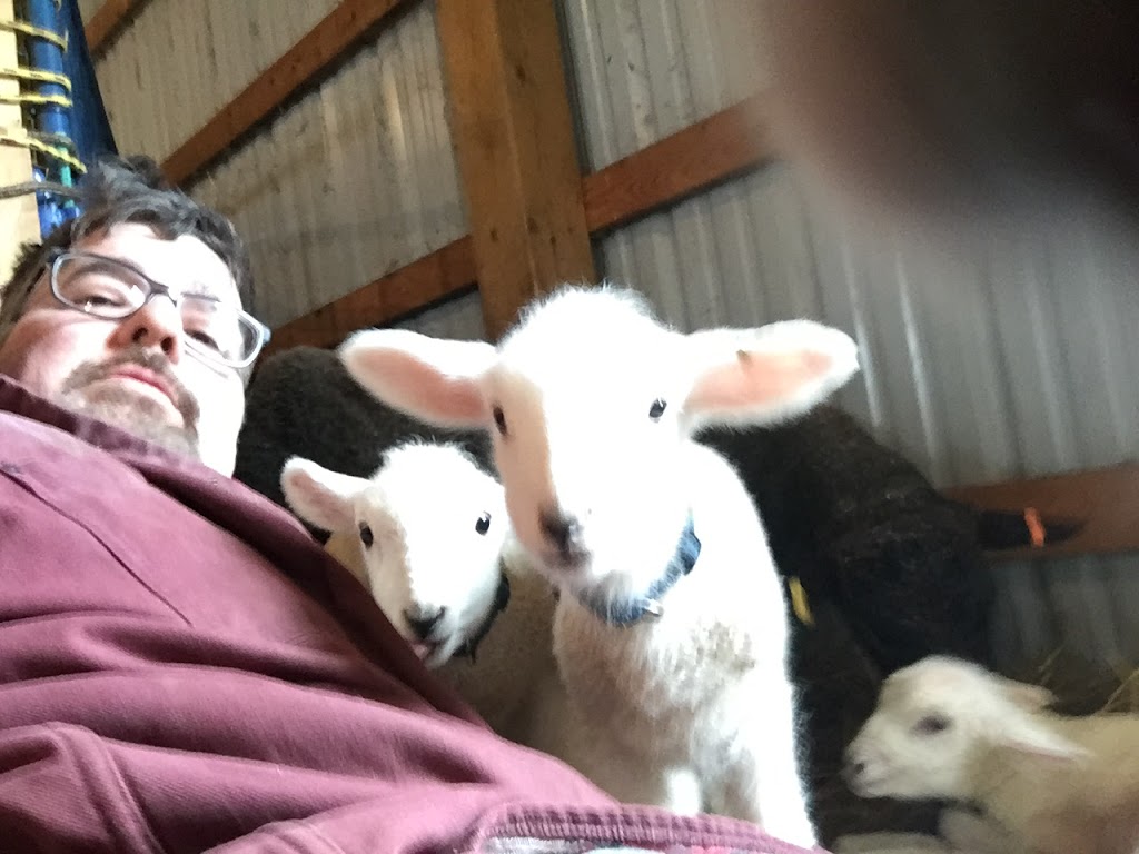 Harmony Meadow Farm | 3130 Garfield Rd, Belfast, PE C0A 1A0, Canada | Phone: (902) 659-2550