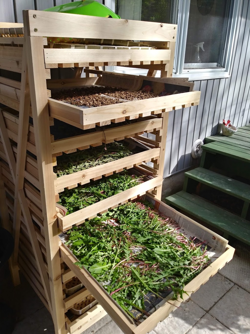 Burdock Nettle | 26 Guild Rd, Mallorytown, ON K0E 1R0, Canada | Phone: (613) 213-2129