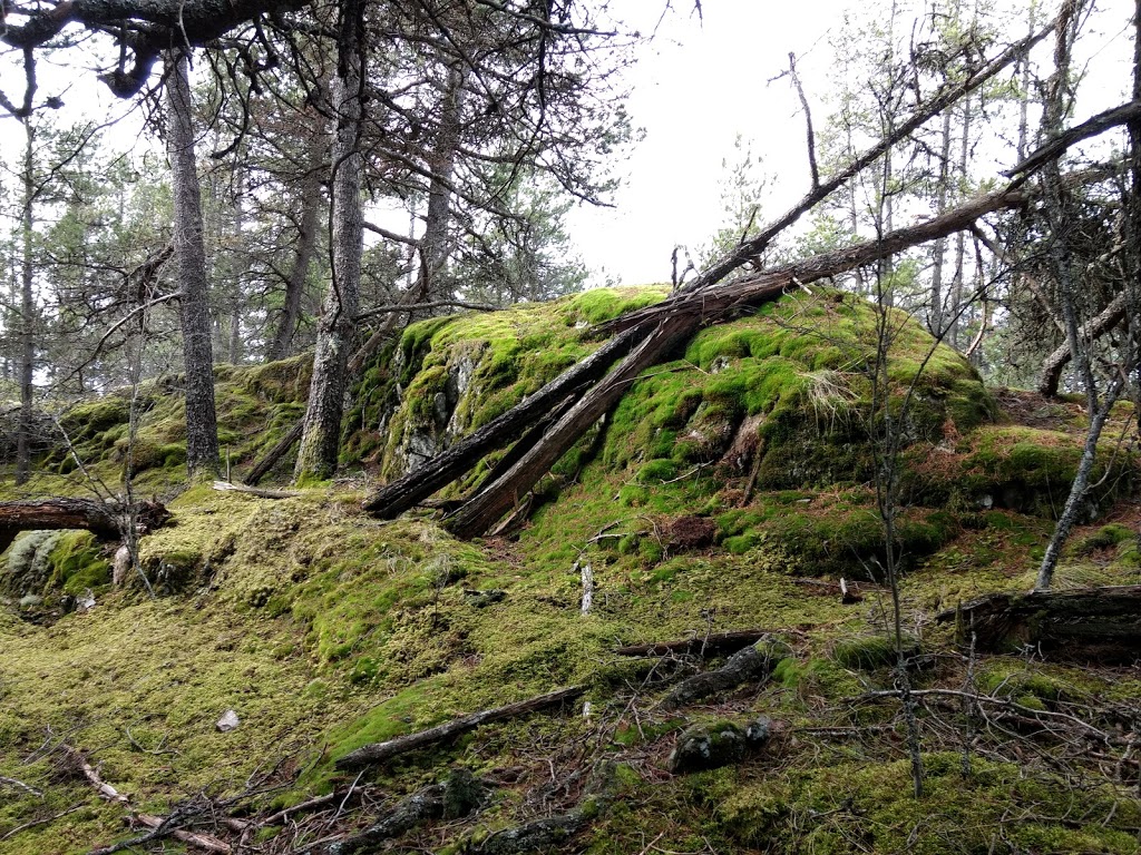 Mossy Outcrop | Bowen Island, BC V0N 1G2, Canada