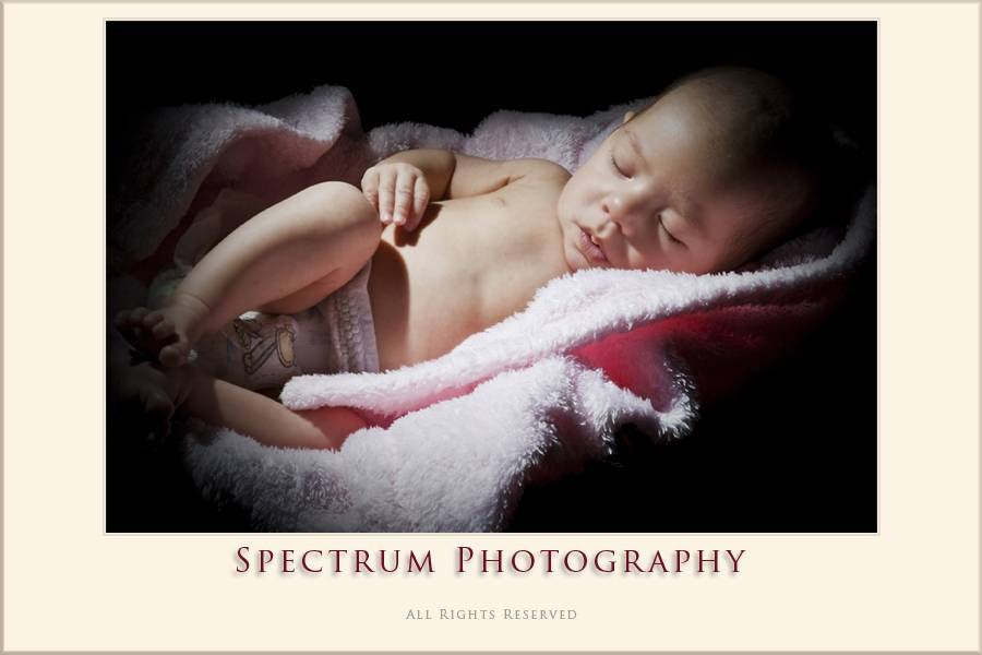 Spectrum Photography | 408 Cushman Rd, St. Catharines, ON L2M 7X7, Canada | Phone: (905) 938-3744