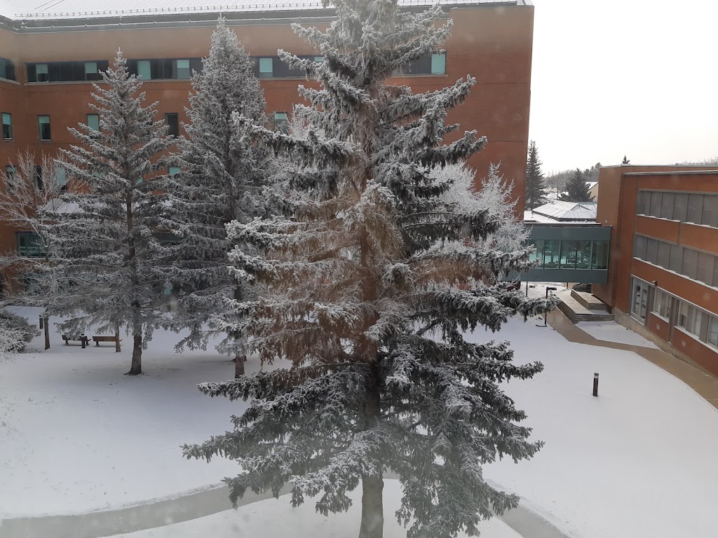 Chinook Regional Hospital | 960 19 St S, Lethbridge, AB T1J 1W5, Canada | Phone: (403) 388-6111