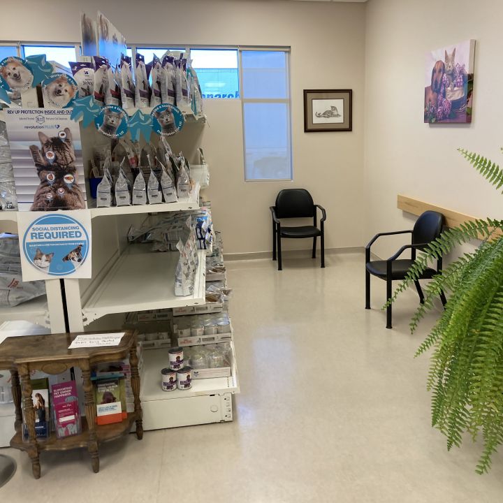 Chinook Pet Clinic | 487 41 St S, Lethbridge, AB T1J 5C8, Canada | Phone: (403) 327-2344
