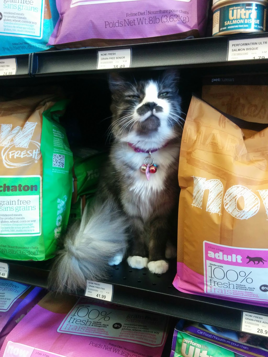 Bosleys by Pet Valu | 15428 Fraser Hwy #106, Surrey, BC V3R 3P5, Canada | Phone: (604) 589-4211