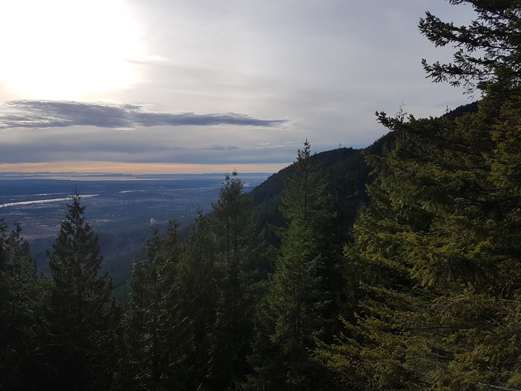 Munro Lake Trail | Munro, Lake Trail, Coquitlam, BC V3E 3H1, Canada