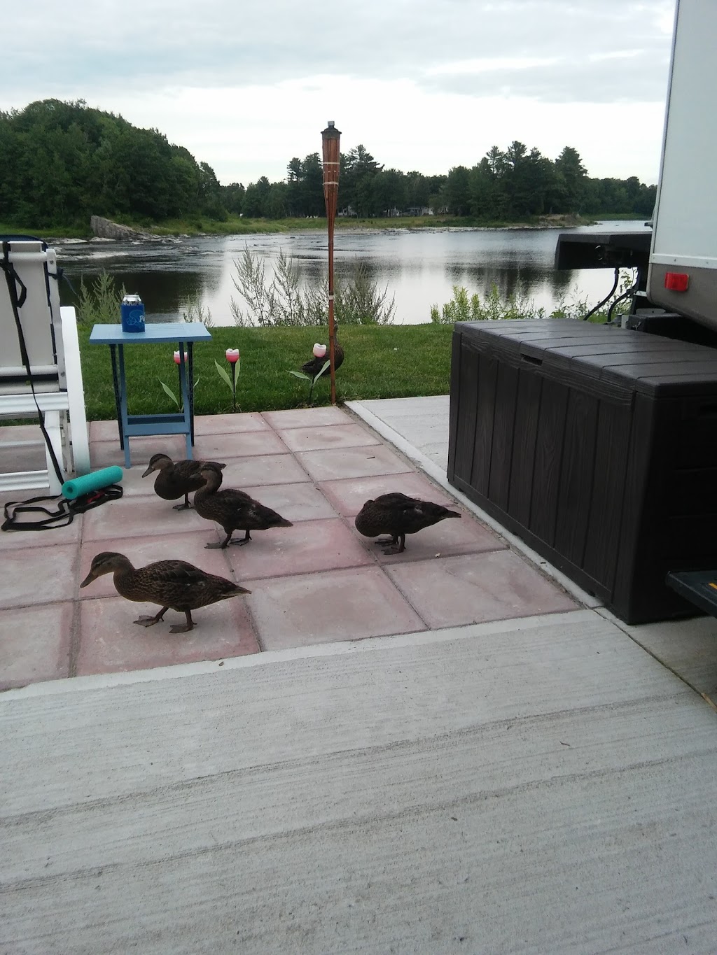 Camping Remous De La Chaudiere | 406 Route Saint André, Saint-Étienne-de-Lauzon, QC G6J 1E8, Canada | Phone: (418) 831-2554