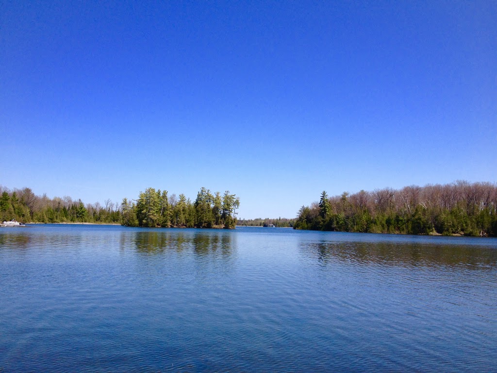 Woodland Camp Site | 209 Allens Rd, Buckhorn, ON K0L 1J0, Canada | Phone: (705) 933-8946