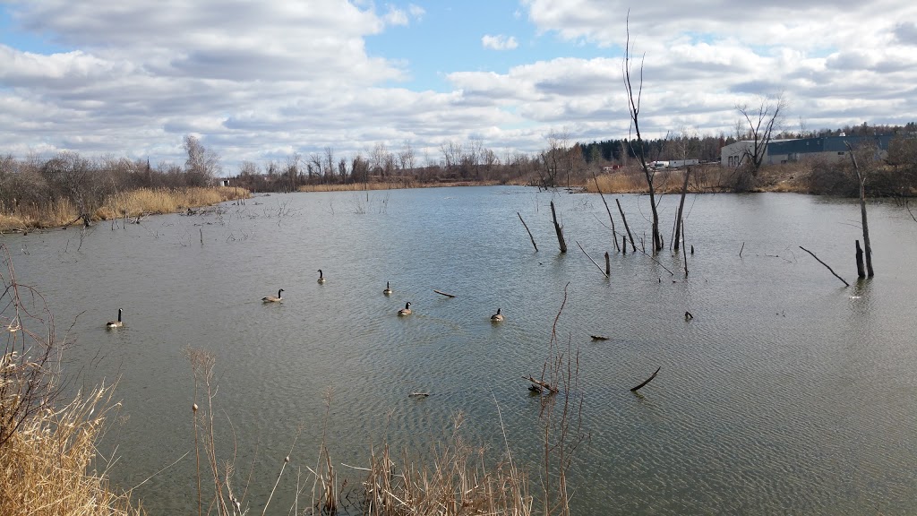 Strasburg Creek North Branch | Kitchener, ON N2R 1J4, Canada