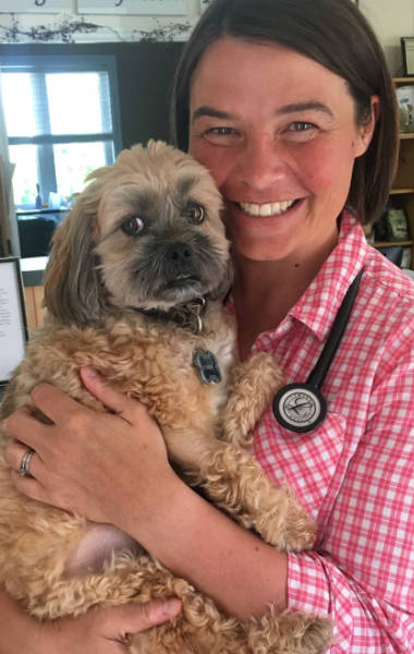 Tantramar Veterinary Hospital | 51 Main St, Sackville, NB E4L 4A7, Canada | Phone: (506) 364-1121