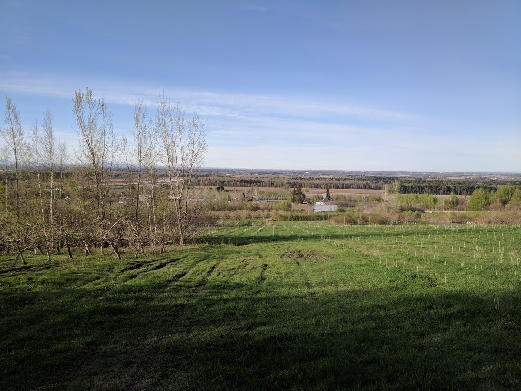 Coteau Saint-Paul | 1595 Rue Principale E, Saint-Paul-dAbbotsford, QC J0E 1A0, Canada | Phone: (450) 379-5069