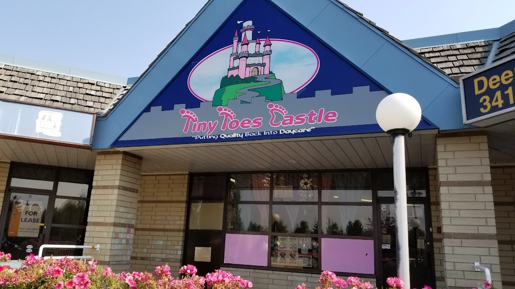 Tiny Toes Castle Daycare | 255 Davison Dr, Red Deer, AB T4R 2H2, Canada | Phone: (403) 986-3817
