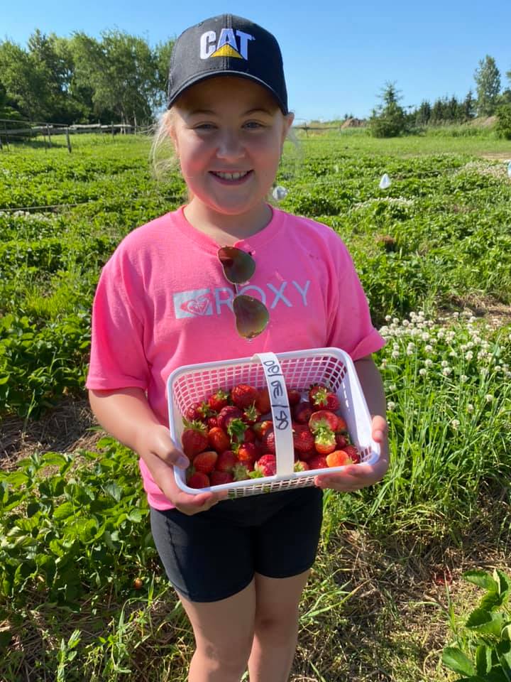 Berrys 4 U | 64383 Dufferin County Rd 3, East Garafraxa, ON L9W 7J5, Canada | Phone: (519) 993-4437