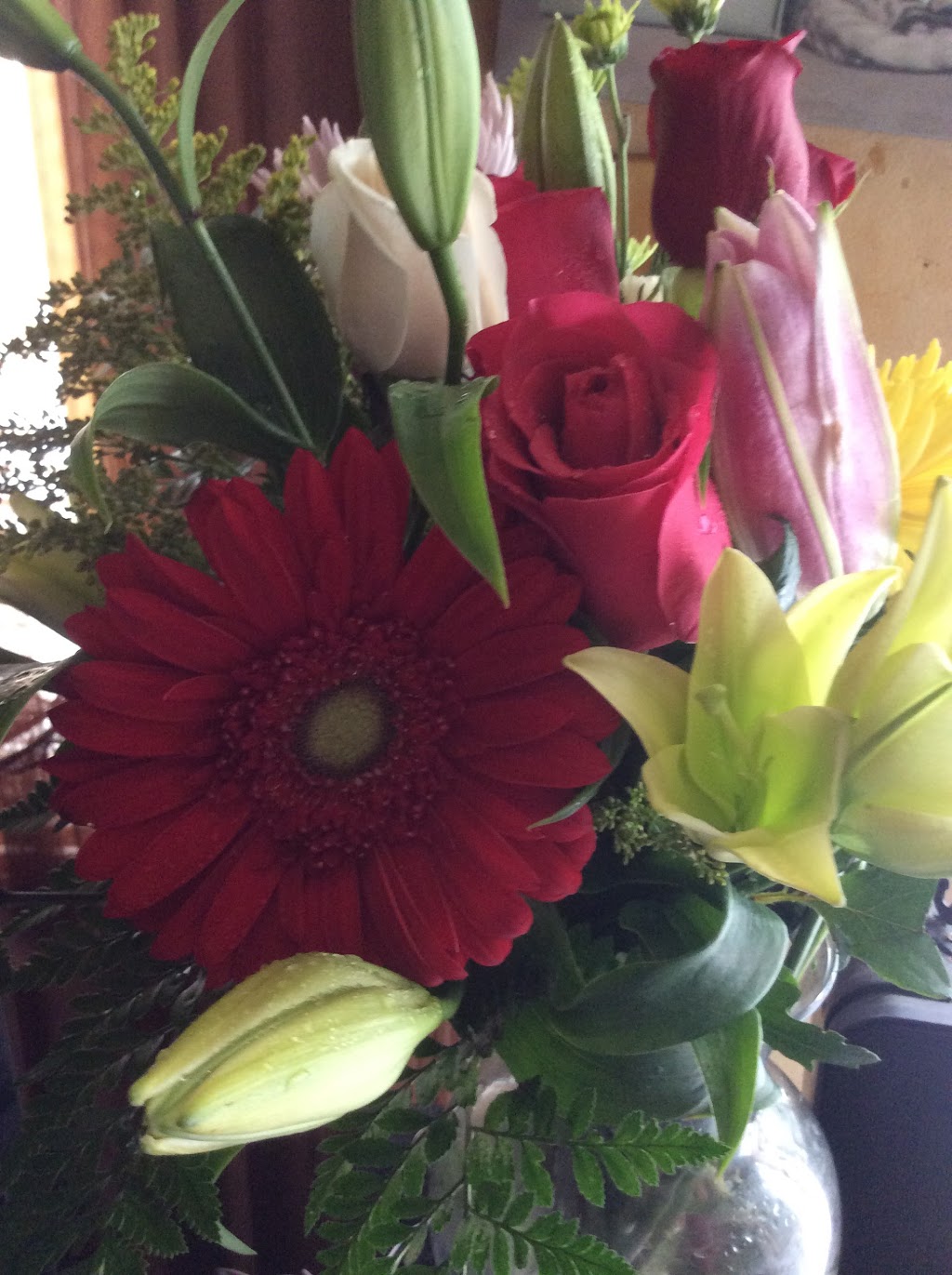 Brampton Flower Shop | 85 Dorchester Dr, Brampton, ON L6T 3E5, Canada | Phone: (905) 451-7214