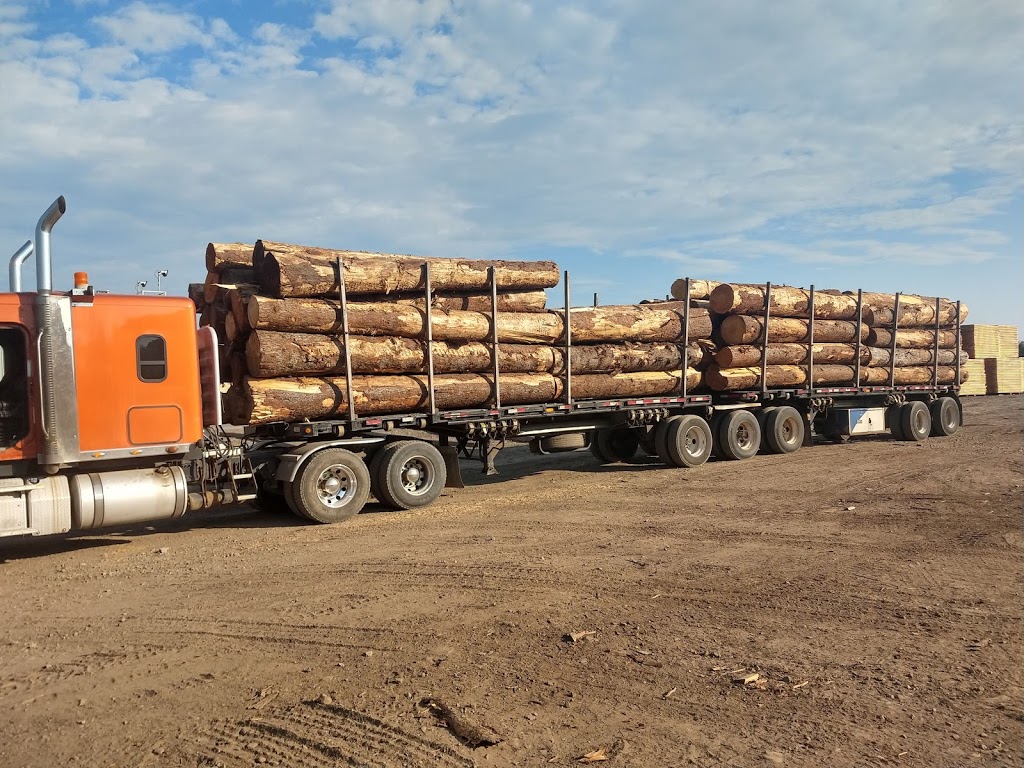 JD Irving Sawmill - Grand Lake Timber | point of interest | 290 Main St, Chipman, NB E4A 2M7, Canada | 5063397900 OR +1 506-339-7900
