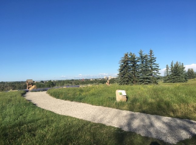 Bee Boulevard | Southeast Calgary, Calgary, AB T2X, Canada