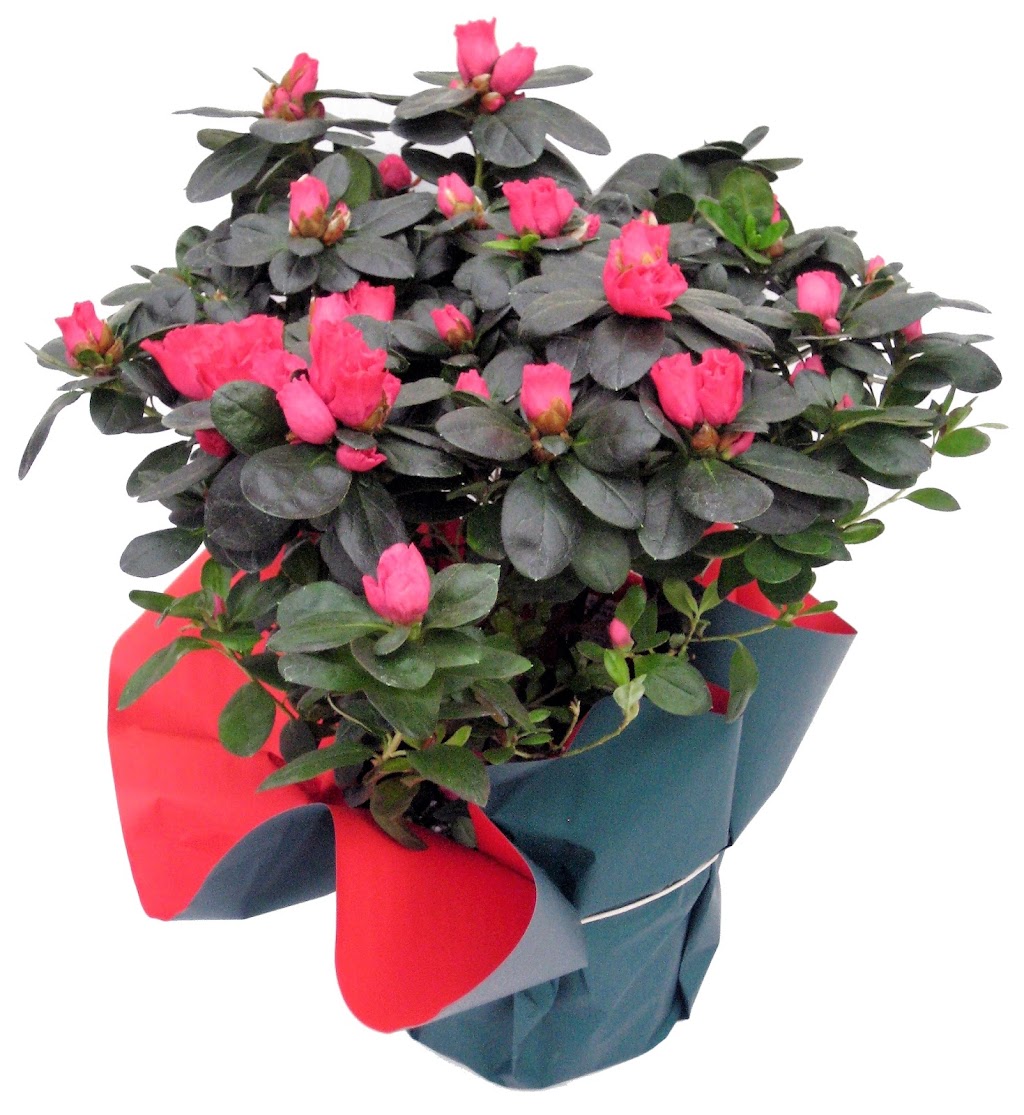 Meyers Fruit Farms Plant II | 957 Stewart Rd, Niagara-on-the-Lake, ON L0S 1J0, Canada | Phone: (905) 934-3925